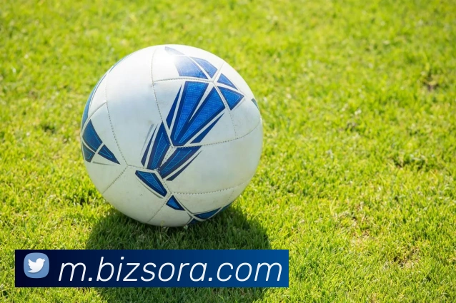 App Interface Preview